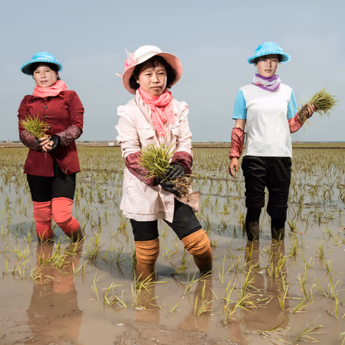 North Korea By Stephan Gladieu