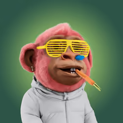 Little Ape World #2905