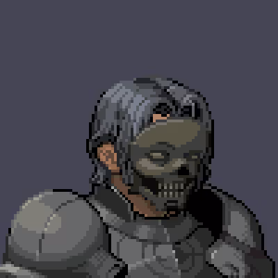 the Shadow Assasin