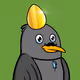 50