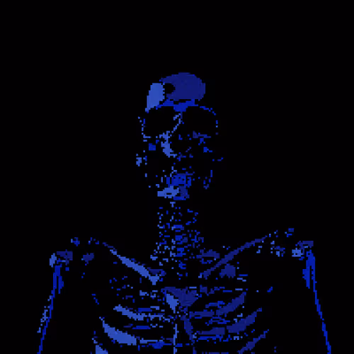 Blueskellys