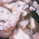 Girls - FV9ocXKoHO