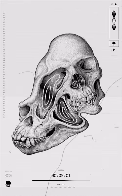 Item #114000500008 Media