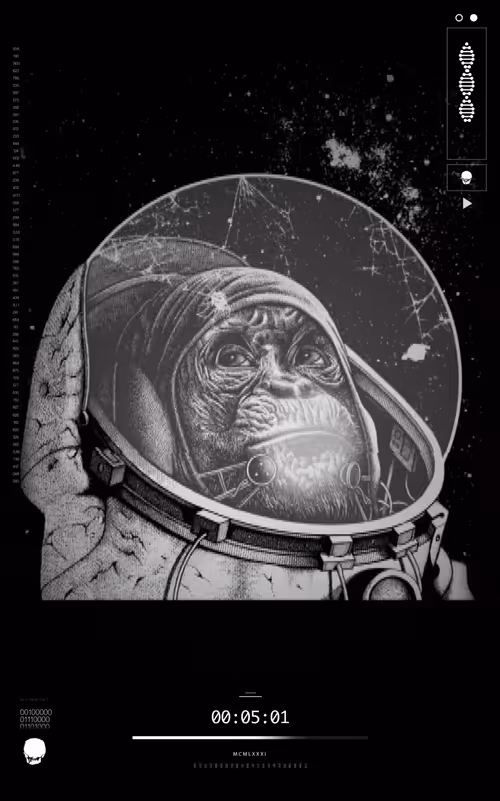 Item #114000200009 Media