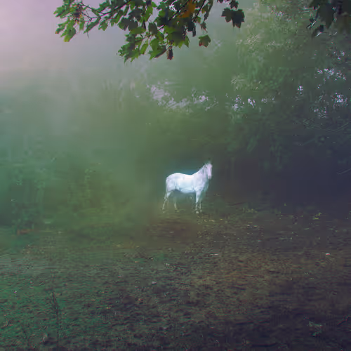 A Wonderful Way with Dragons - Poster Image