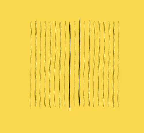 Void Attractor: #548