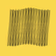 Void Attractor: #19