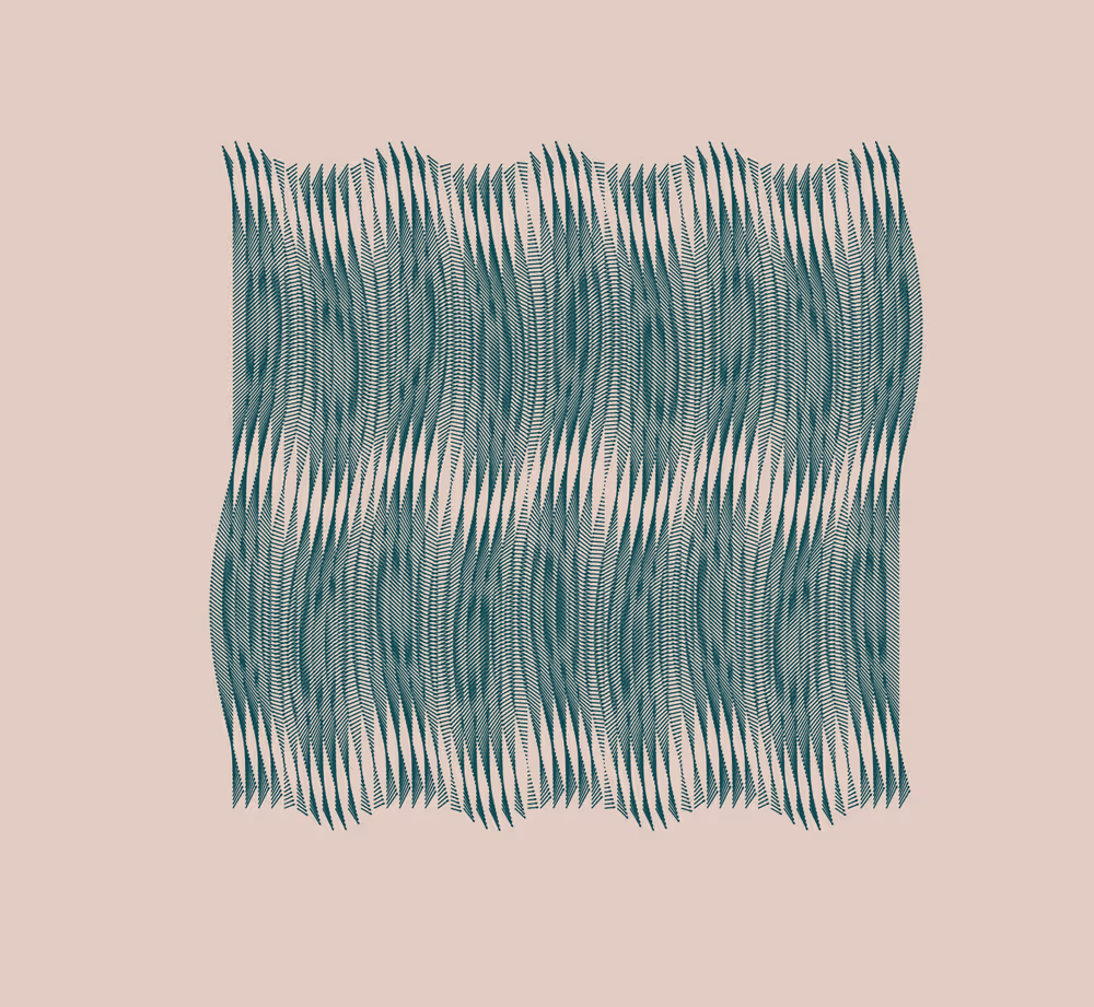 Void Attractor: #558