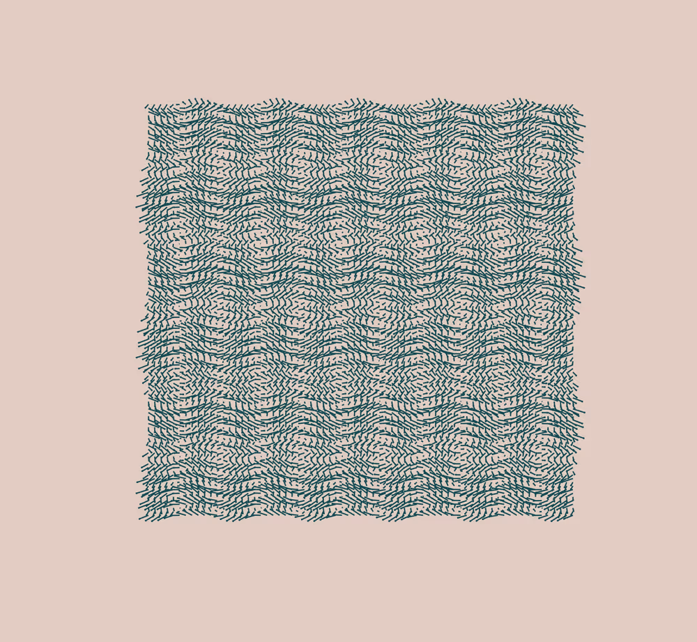 Void Attractor: #555