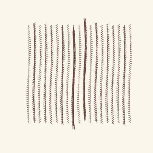 Void Attractor: #255