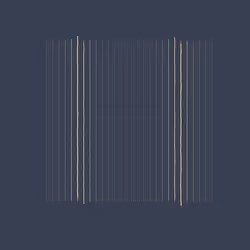 Void Attractor: #145