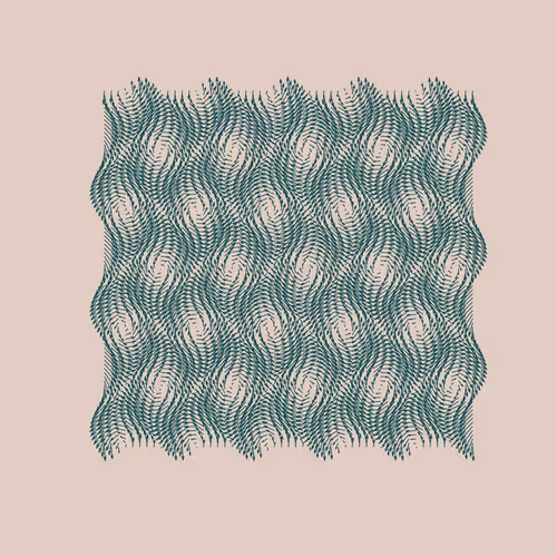 Void Attractor: #224