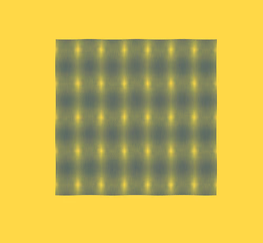 Void Attractor: #519