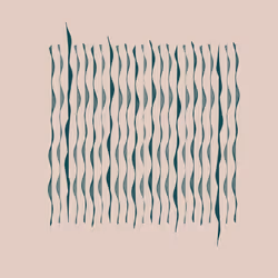 251