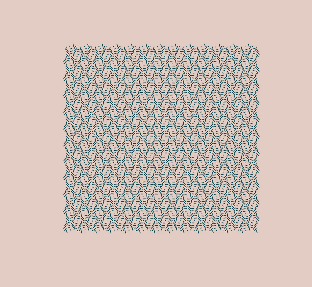 Void Attractor: #534