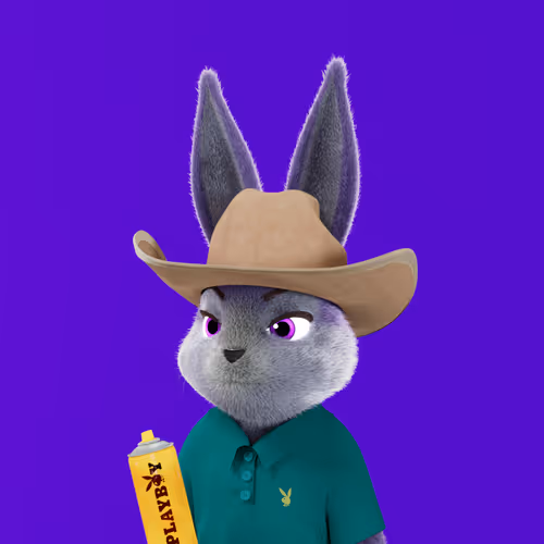 Playboyrabbitars