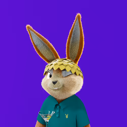 Playboyrabbitars
