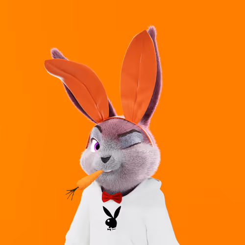 Playboyrabbitars