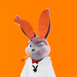 Rabbitar #9005
