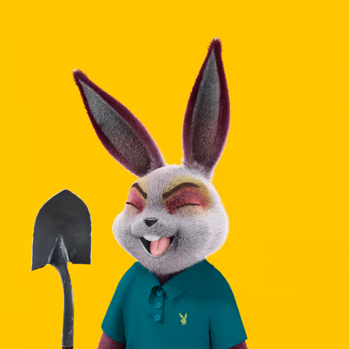 Playboyrabbitars