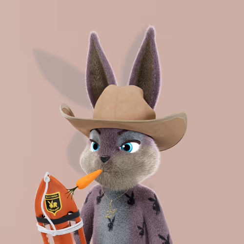 Playboyrabbitars