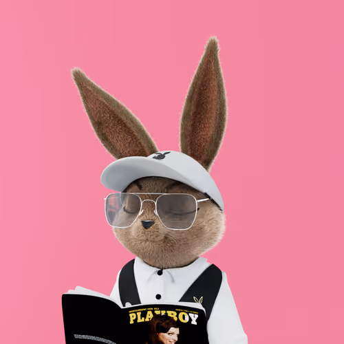 Rabbitar #2495