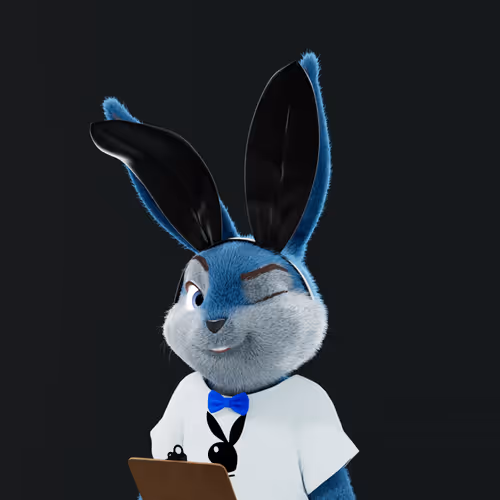 Playboyrabbitars
