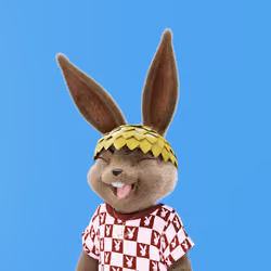 Rabbitar #7382