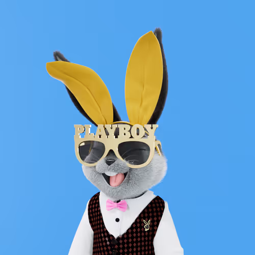 Playboyrabbitars