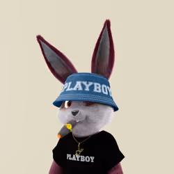 Rabbitar #11211