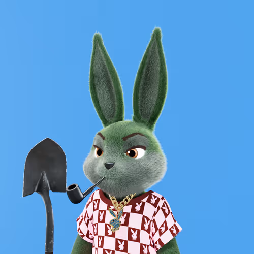 Playboyrabbitars