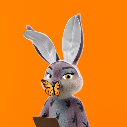 Playboyrabbitars