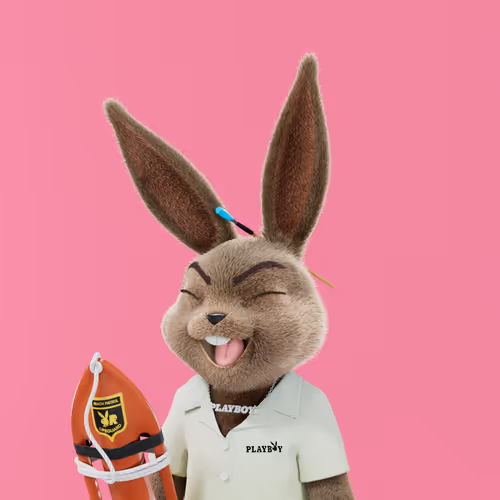 Playboyrabbitars
