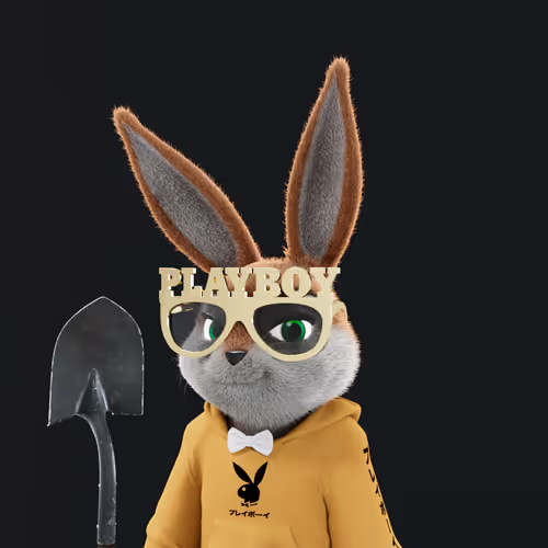 Playboyrabbitars