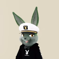 Rabbitar #4317