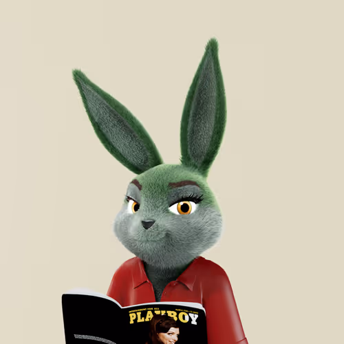 Playboyrabbitars