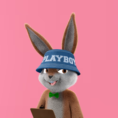 Playboyrabbitars
