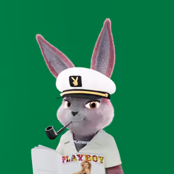 Rabbitar #9935