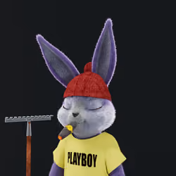 Rabbitar #10305