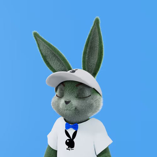 Playboyrabbitars