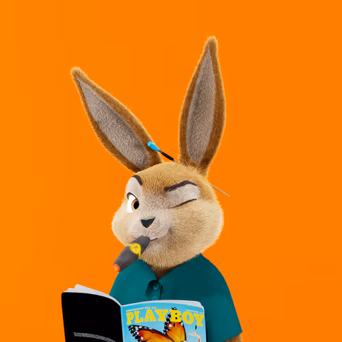 Playboyrabbitars