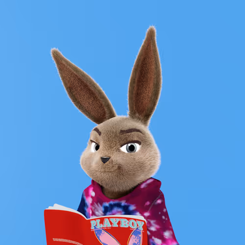 Playboyrabbitars