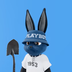 Rabbitar #5861