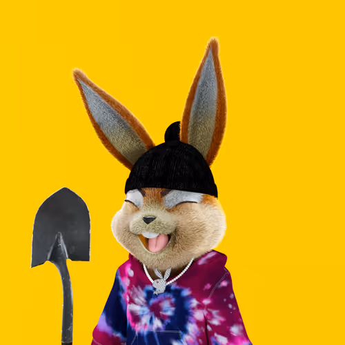 Playboyrabbitars