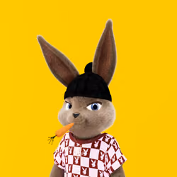 Rabbitar #9513