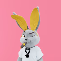 Rabbitar #6647