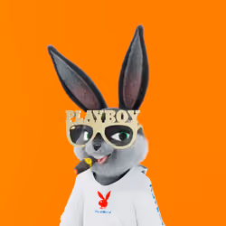 Rabbitar #1700