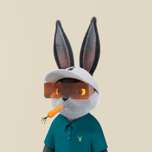 Playboyrabbitars