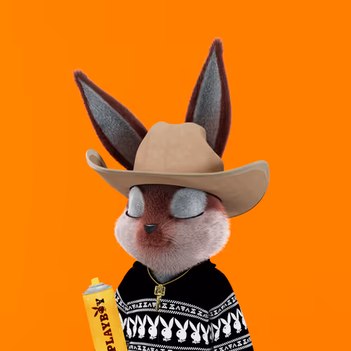 Playboyrabbitars
