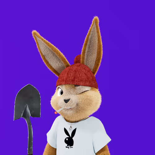 Playboyrabbitars